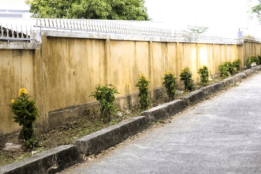 Đoàn Thanh niên PTSC (cụm BRVT) ra quân hưởng ứng Tết trồng cây Đoàn Thanh niên PTSC ra quân hưởng ứng Tết trồng cây
