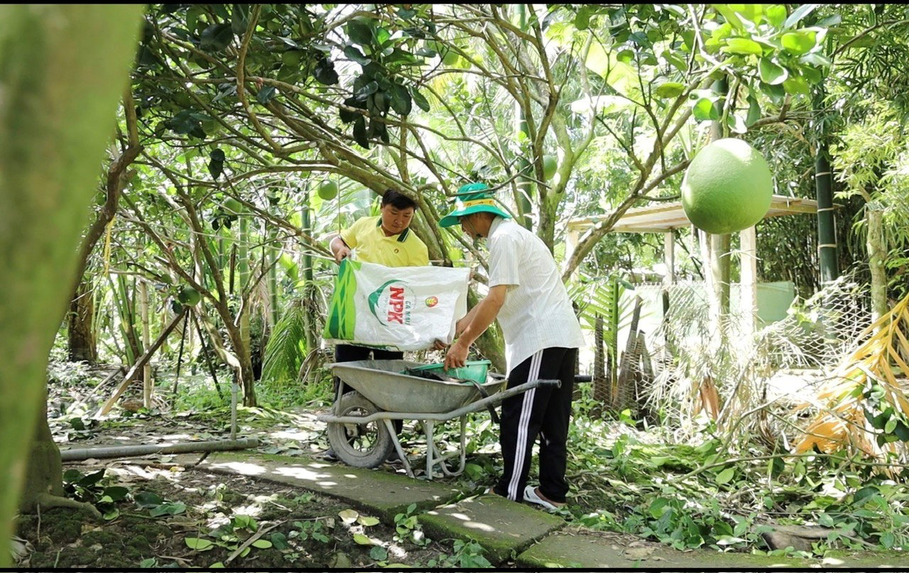 Phân bón Cà Mau: Tuổi mới, khí thế mới Phân bón Cà Mau: Tuổi mới, khí thế mới