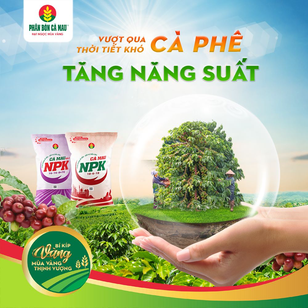 Phân bón Cà Mau: Lắng nghe thị trường - Hành động thiết thực Phân bón Cà Mau: Lắng nghe thị trường - Hành động thiết thực