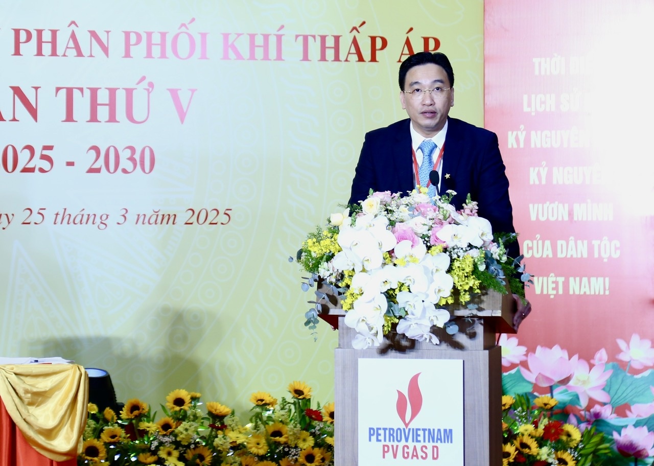 Đồng chí Nguyễn Thanh Bình biểu dương những kết quả đạt được trên các mặt công tác của Đảng bộ PV GAS D