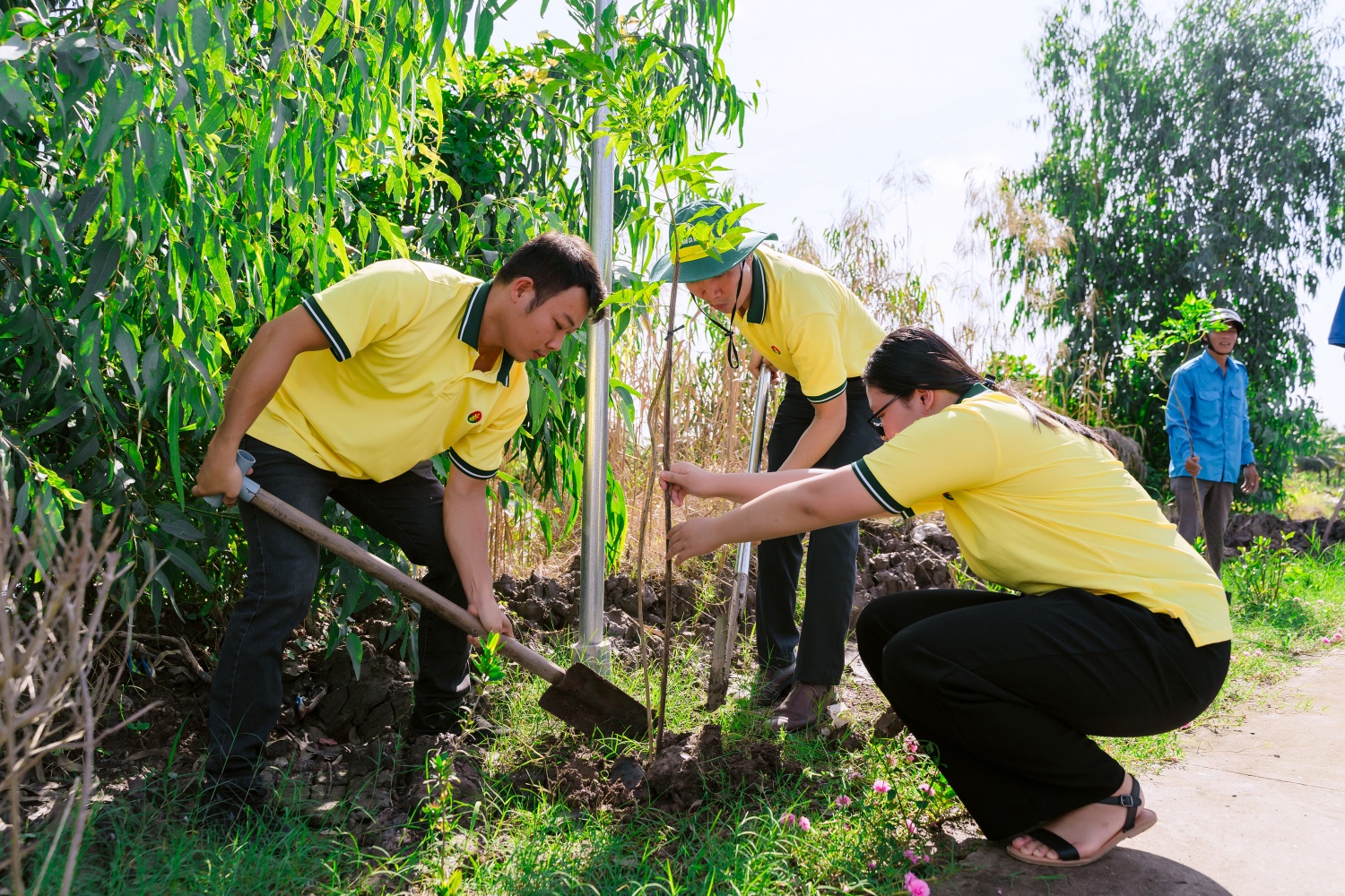 Tuổi trẻ Phân bón Cà Mau triển khai đề án trồng mới 300.000 cây xanh