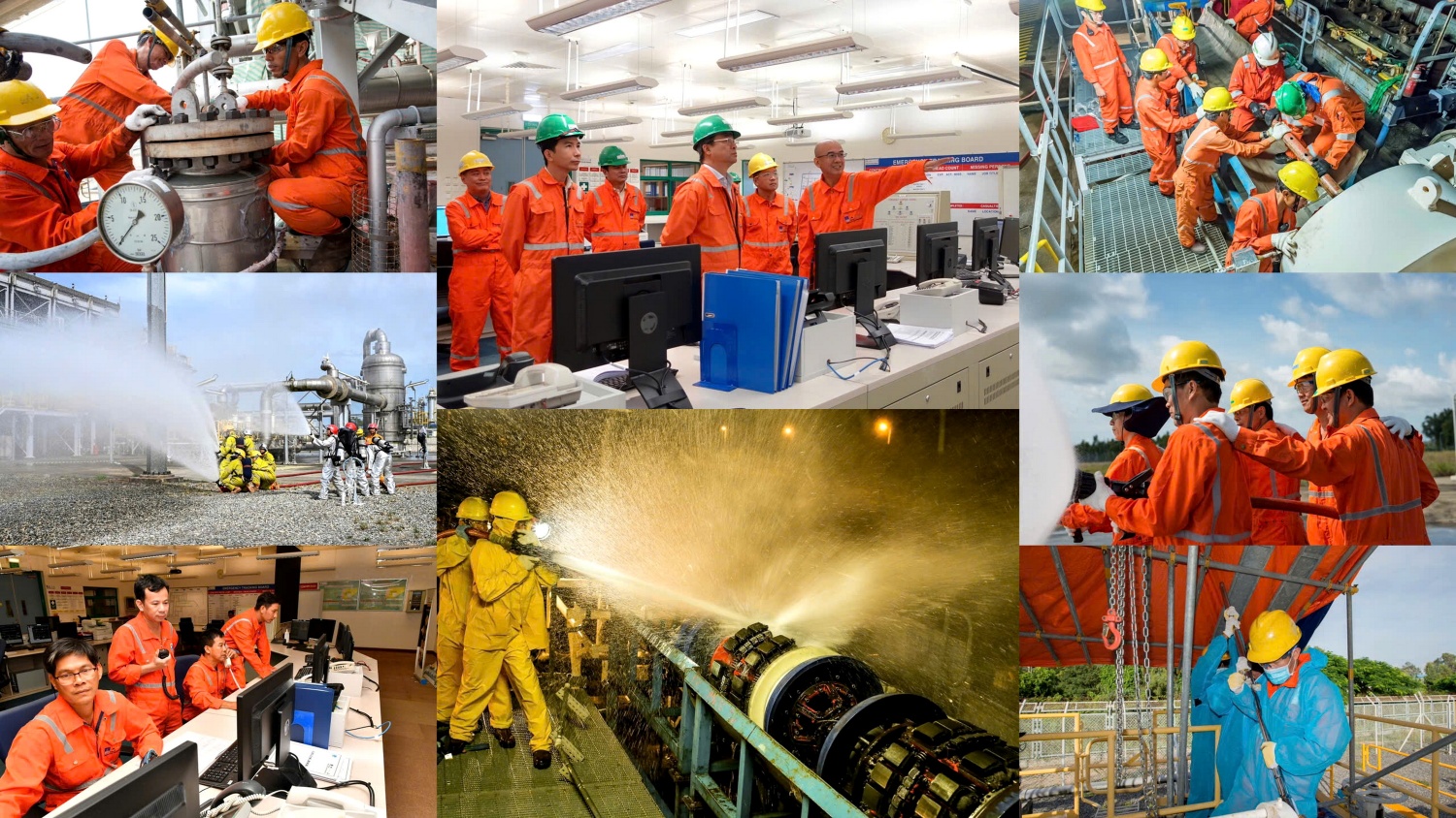 Tổ chức Đảng vững mạnh, tập thể lao động nỗ lực