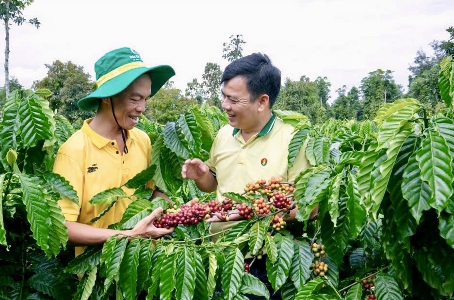 Quý I/2025, PVCFC kiểm soát tốt chi phí sản xuất và chi phí vận hành, duy trì tỷ lệ nợ vay thấp so với tổng tài sản