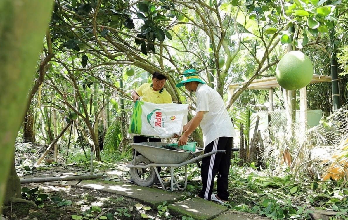 Về chiến lược trung và dài hạn, PVCFC tiếp tục ưu tiên đầu tư vào nghiên cứu phát triển sản phẩm mới phù hợp với xu hướng nông nghiệp bền vững