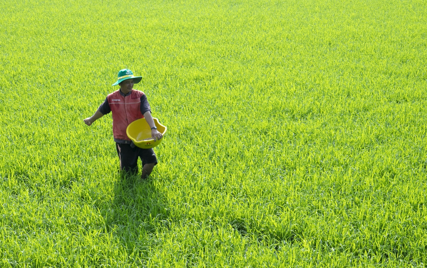Các giải pháp phát triển các dòng sản phẩm phân bón trên nền tảng urê nhằm nâng cao hiệu quả sử dụng, thân thiện môi trường