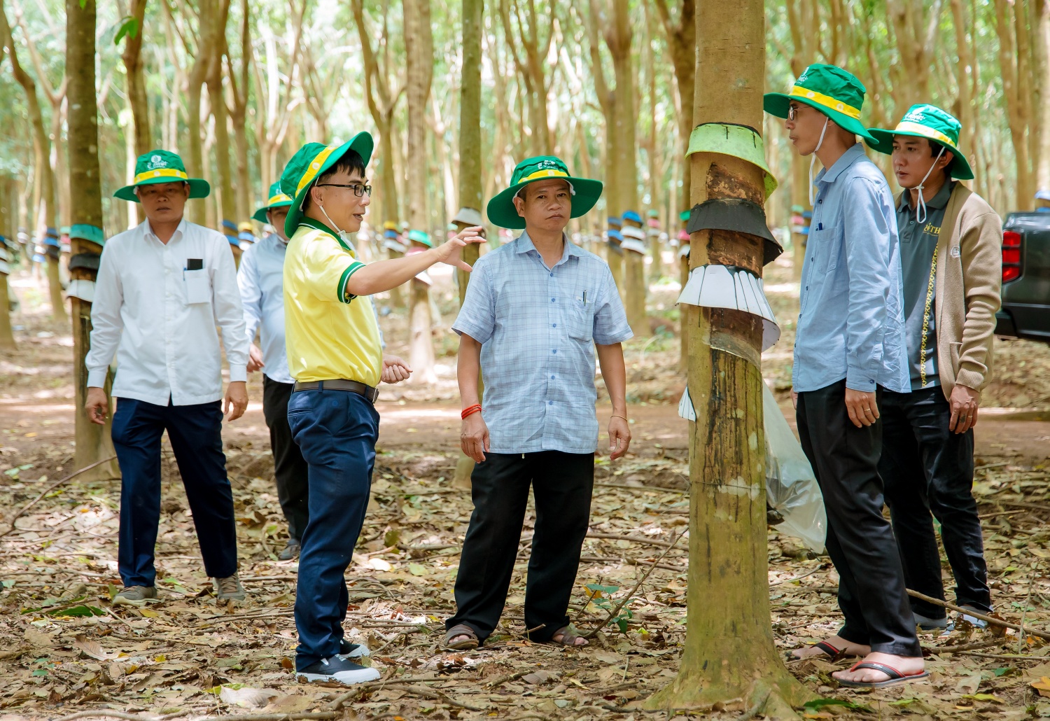 Chuyên gia của PVCFC tư vấn, hướng dẫn kỹ thuật cho bà con Campuchia