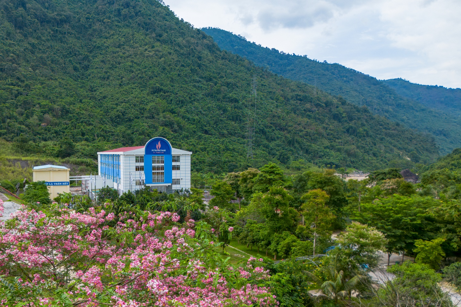 Các loại hoa được trồng góp phần tô đẹp cho nhà máy.