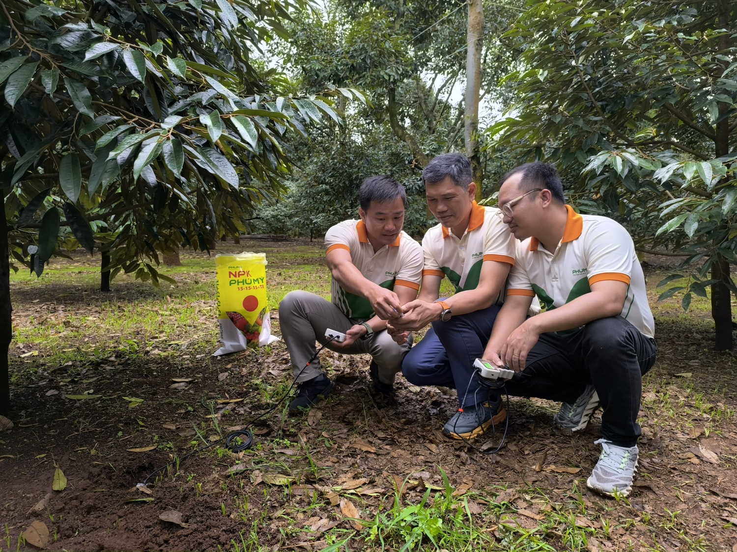 Phú Mỹ triển khai đo dinh dưỡng đất thông minh, ứng dụng công nghệ tiên tiến