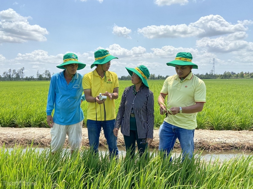 Hai thương hiệu phân bón của Petrovietnam còn mang theo niềm tin, sự chủ động và an tâm, tự tin canh tác cho bà con nông dân (Ảnh: Kỹ sư Phân bón Cà Mau tư vấn kỹ thuật canh tác cho bà con nông dân)