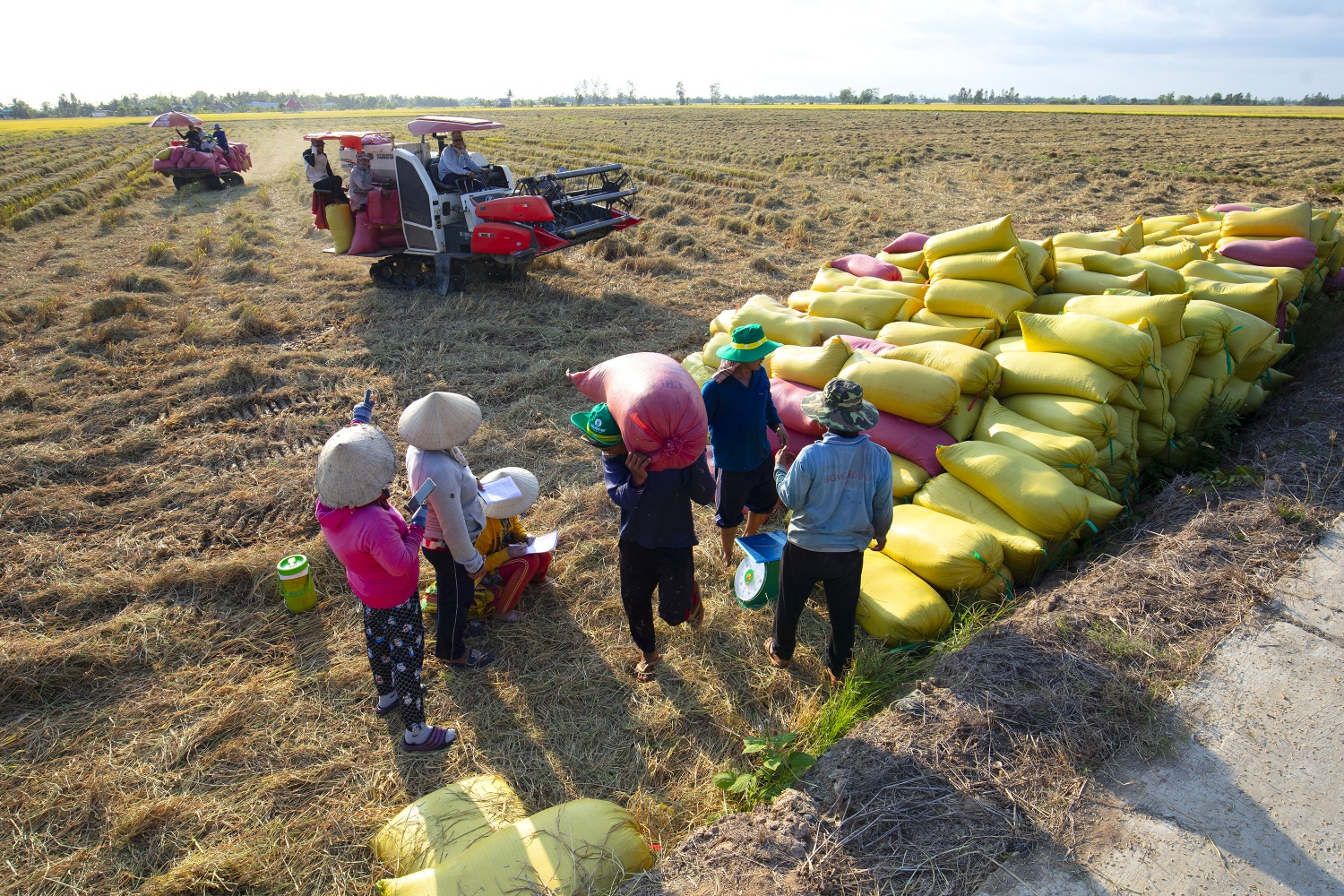 PVCFC là một trong những đơn vị tiên phong về trách nhiệm xã hội trong hệ thống Petrovietnam.