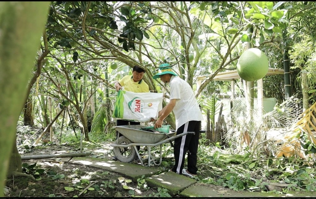 Cán bộ kỹ thuật Phân bón Cà Mau luôn đồng hành cùng bà con trong từng giai đoạn phát triển của cây trồng