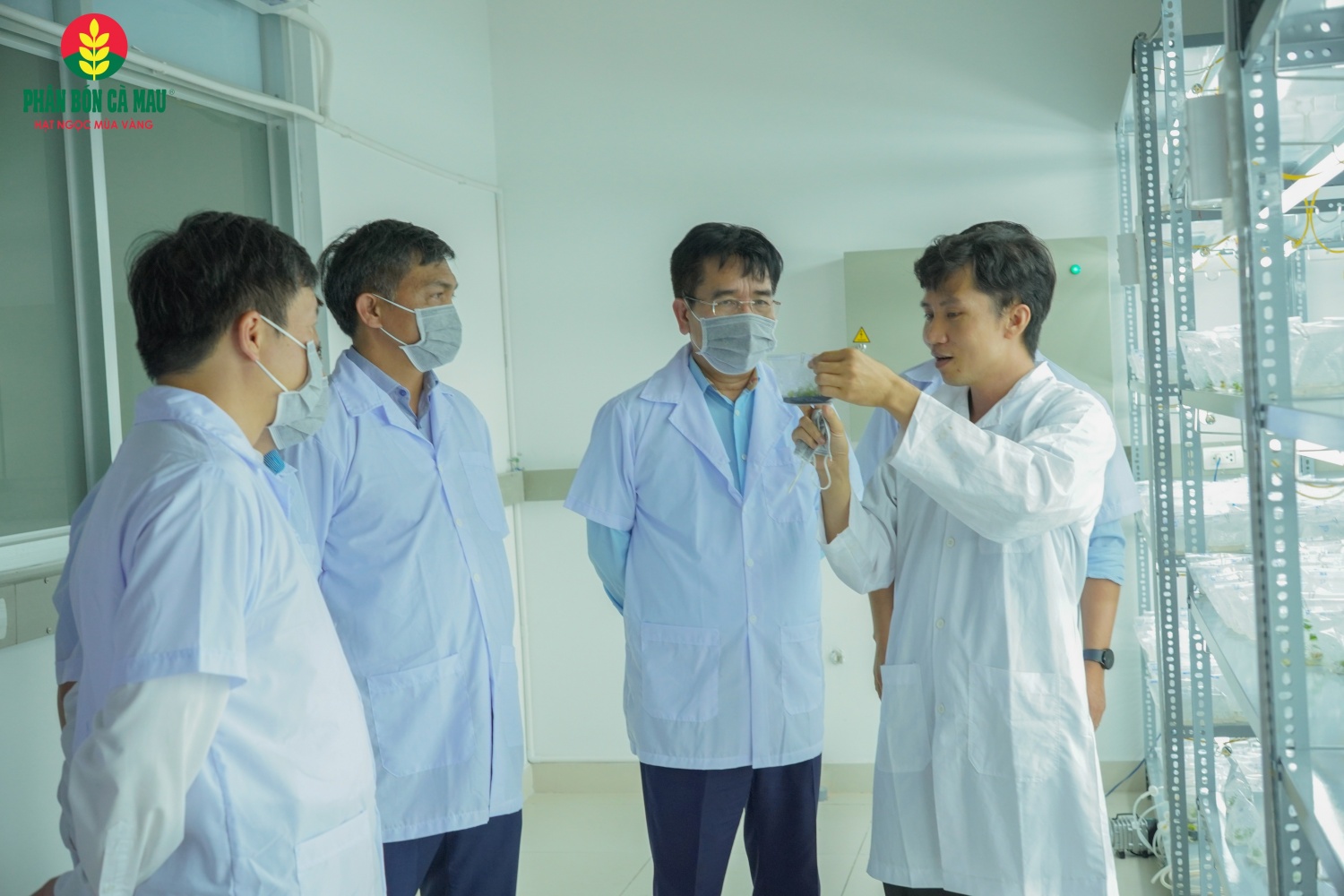 Lĩnh vực (R&D là một trong những mảng chiến lược được PVCFC ưu tiên đầu tư mạnh mẽ