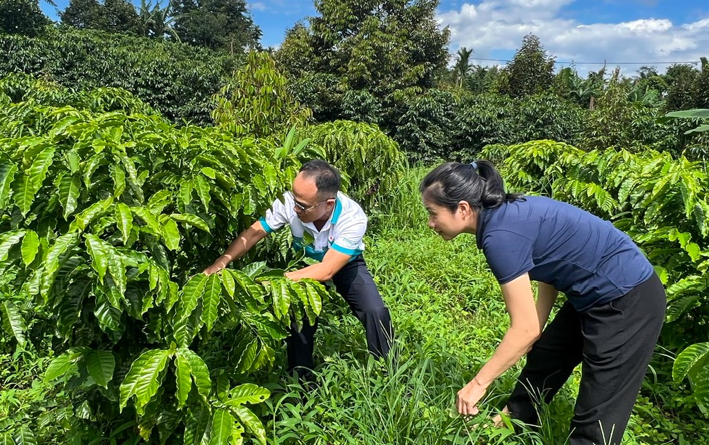 Anh Nguyễn Lê Đức Trọng – Thạc sĩ nông nghiệp của Ban Tiếp thị và Truyền thông Tổng công ty cũng miệt mài, gắn bó với bà con và các đơn vị chuyên môn trên khắp các vùng miền và cả thị trường quốc tế.