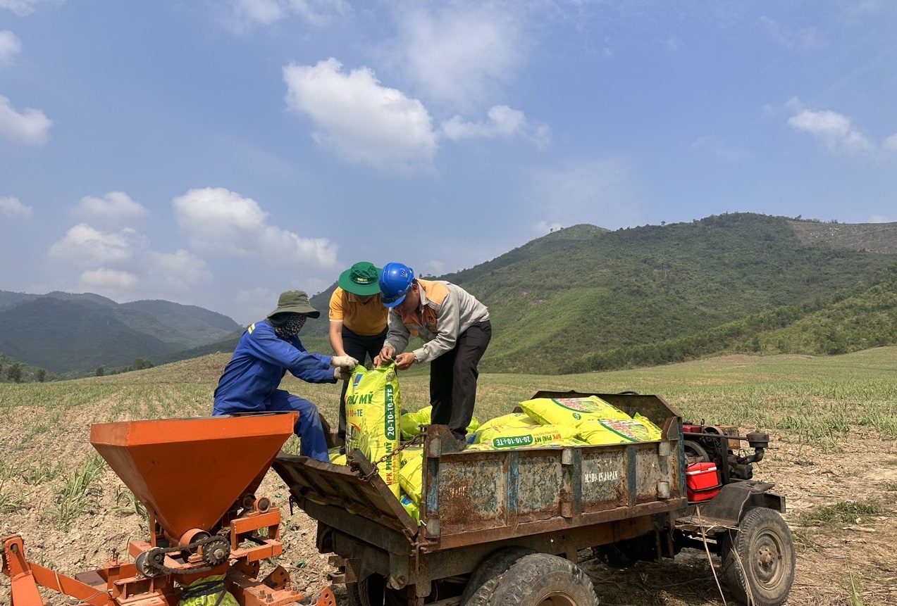 Phân bón Phú Mỹ đã trở thành người bạn đồng hành cùng bà con nông dân trên khắp các cánh đồng, nương rẫy.