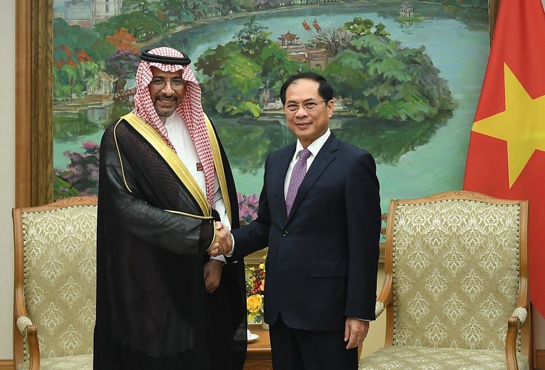 Việt Nam mong muốn Saudi Arabia thúc đẩy cung cấp dầu thô, khí hoá lỏng ổn định, lâu dài Phó Thủ tướng cũng đề nghị Saudi Arabia xem xét khả năng xây dựng, phát triển trung tâm trung chuyển, dự trữ dầu thô và các sản phẩm lọc hoá dầu tại Việt Nam để cung cấp cho các nước trong khu vực Đông Nam Á.