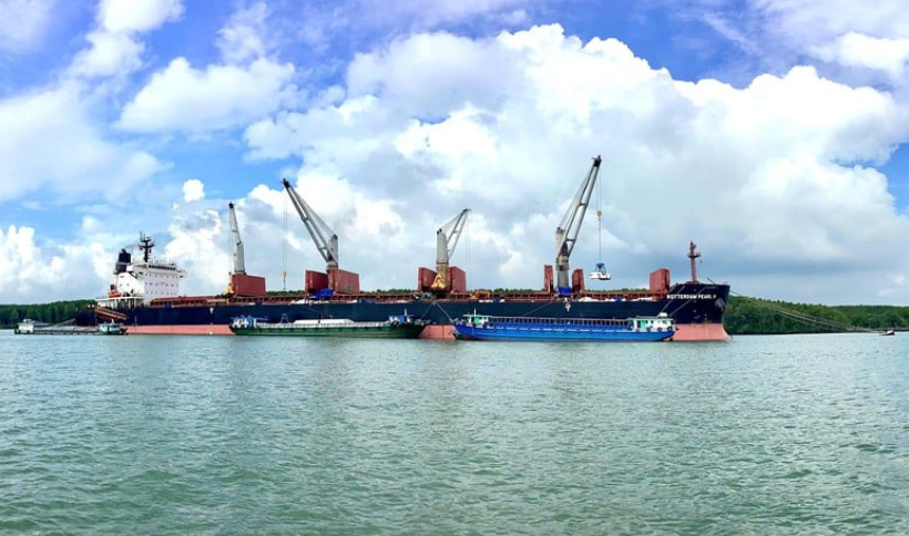 This year, PVCFC's import-export activities have seen remarkable growth - Photo: VGP/PD