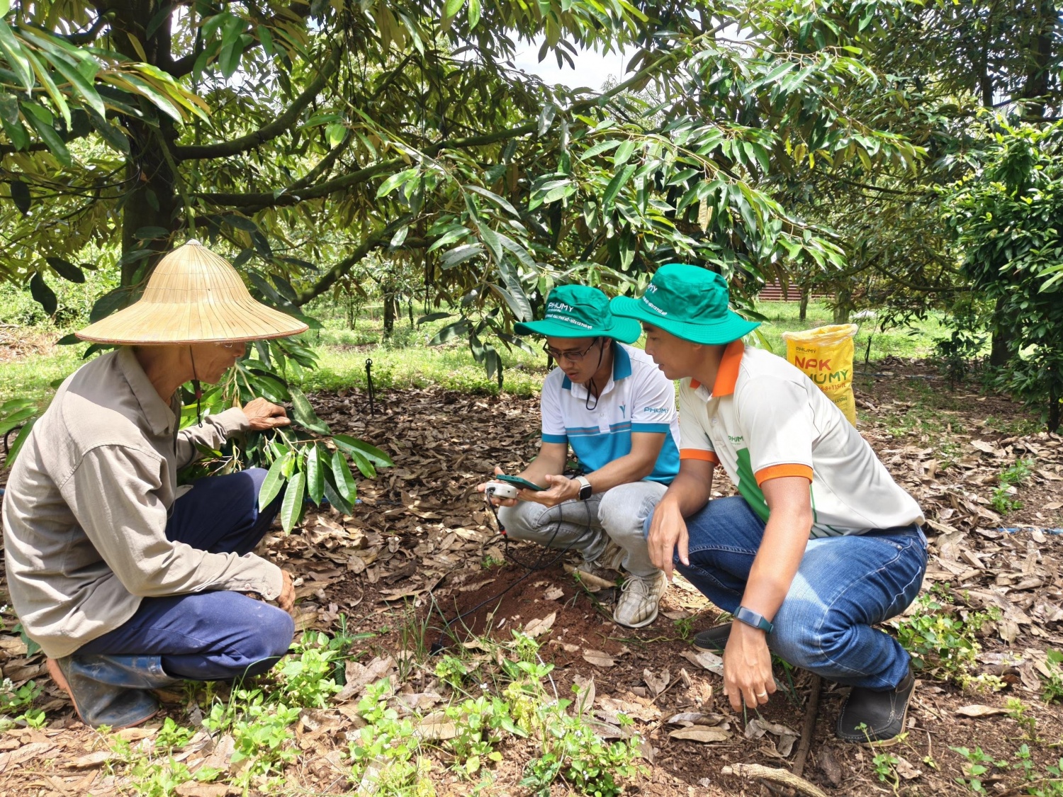 PVFCCo - Phú Mỹ sẽ cung cấp các thiết bị đo dinh dưỡng đất Enfarm F và tổ chức hướng dẫn sử dụng hoàn toàn miễn phí cho các khách hàng.