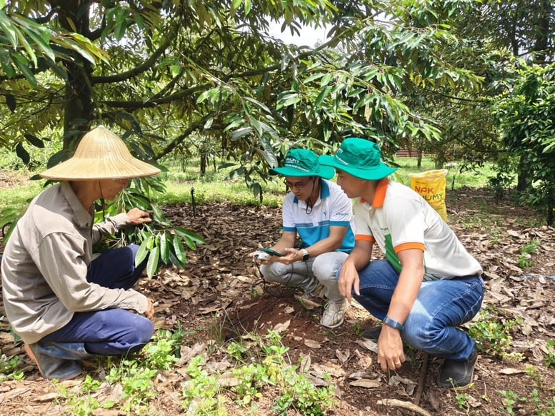 PVFCCo - Phu My provides Enfarm F soil nutrient measuring devices and provides completely free user instructions for customers.