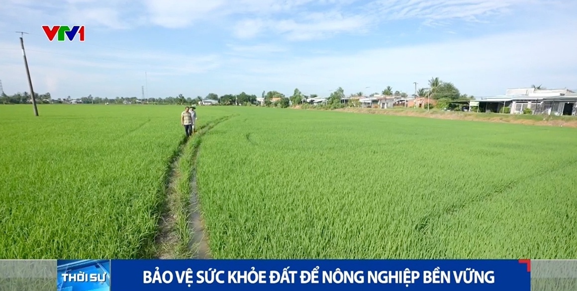 Bảo vệ sức khỏe đất để nông nghiệp bền vững