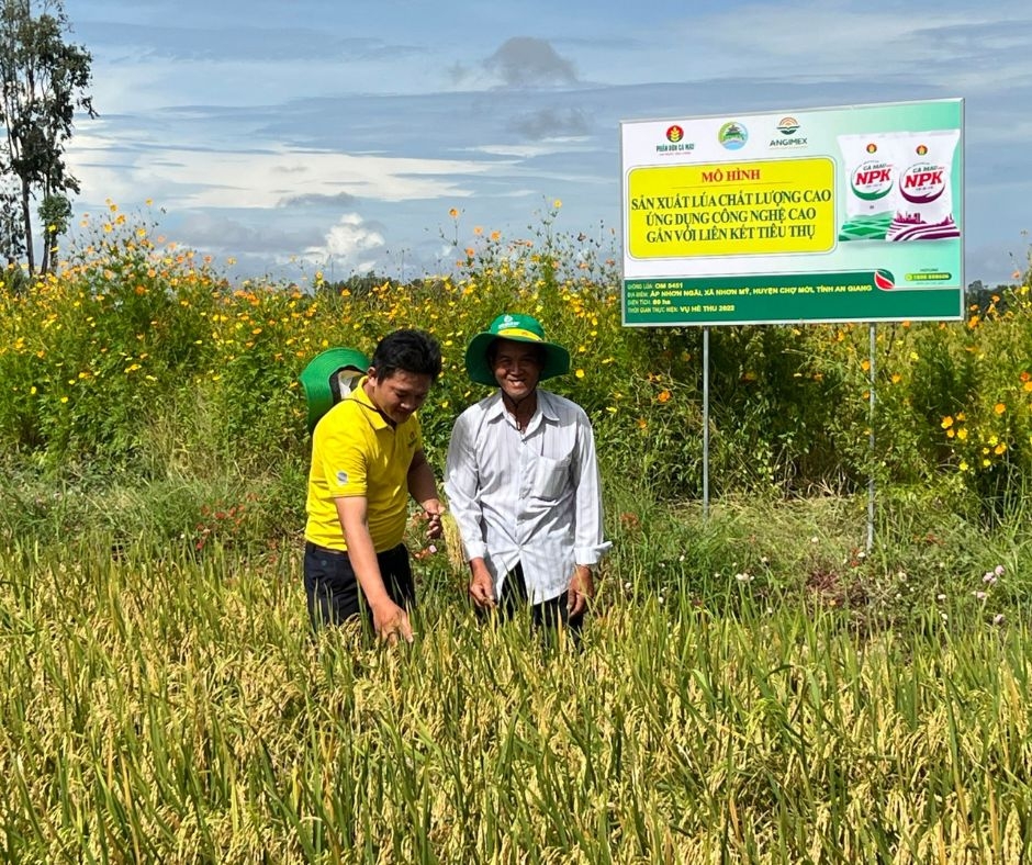 PVCFC lần thứ 2 đạt Top 50 Công ty Niêm yết tốt nhất cùng kết quả kinh doanh 2 quý vượt trội PVCFC lần thứ 2 đạt Top 50 Công ty Niêm yết tốt nhất cùng kết quả kinh doanh 2 quý vượt trội