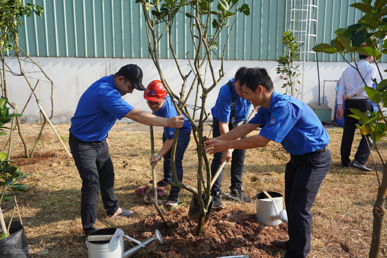 PVFCCo ra quân chương trình trồng 300.000 cây xanh