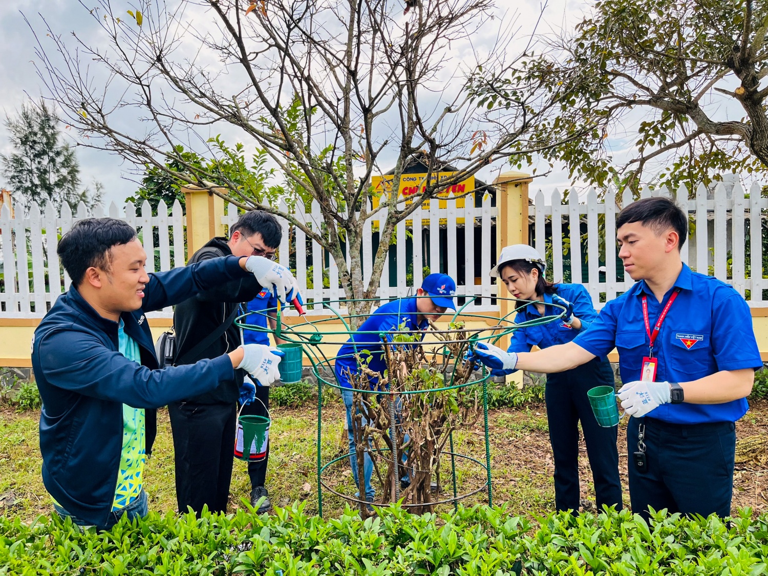 Đoàn Thanh niên BSR tổ chức trồng cây, làm đẹp tuyến đường vào NMLD Dung Quất Đoàn Thanh niên BSR tổ chức trồng cây, làm đẹp tuyến đường vào NMLD Dung Quất