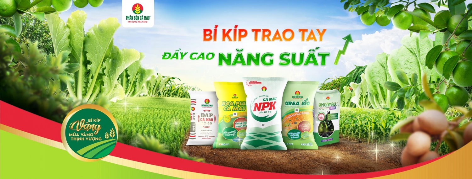 Phân bón Cà Mau được vinh danh Top 10 “Thương hiệu mạnh - Tăng trưởng xanh 2024” Phân bón Cà Mau được vinh danh Top 10: “Thương hiệu mạnh - Tăng trưởng xanh năm 2024”