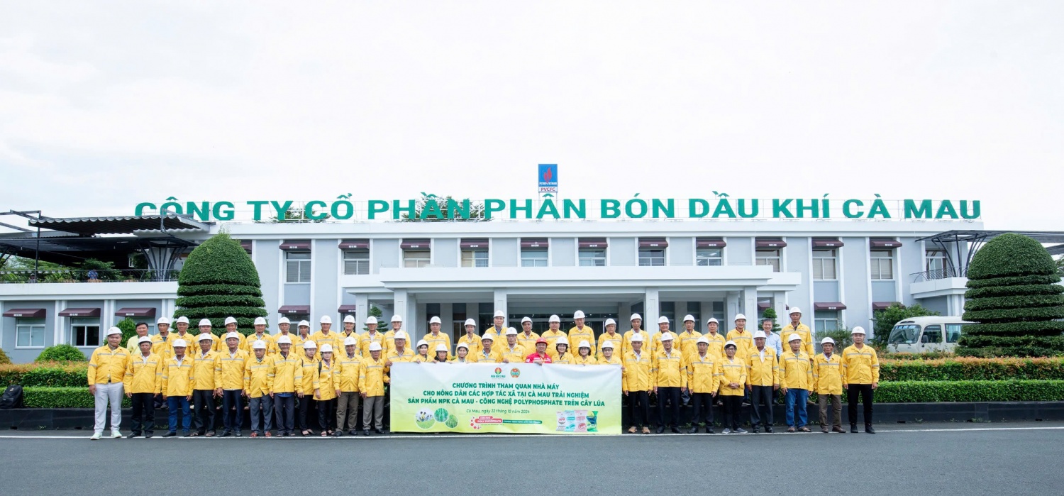 Hiệu quả từ mô hình trải nghiệm NPK Cà Mau của nông dân Hiệu quả từ mô hình trải nghiệm NPK Cà Mau của nông dân 2